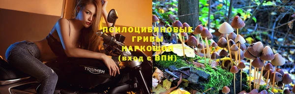 метамфетамин Алексеевка