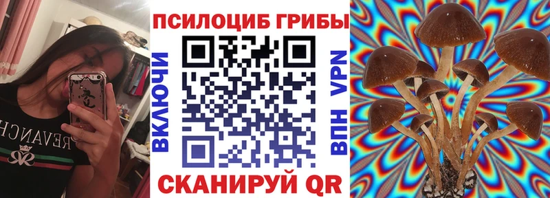 дарнет шоп  Бикин  Псилоцибиновые грибы Psilocybine cubensis 