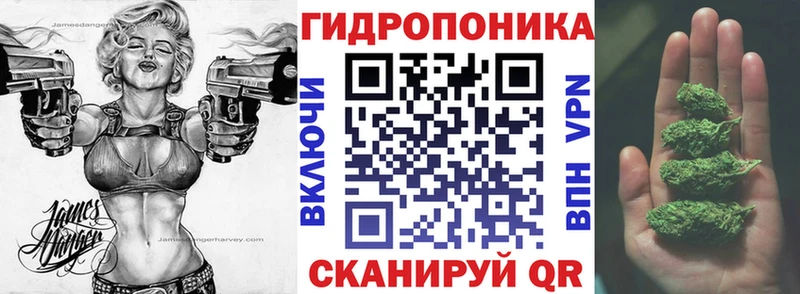 цены наркотик  Бикин  Каннабис планчик 